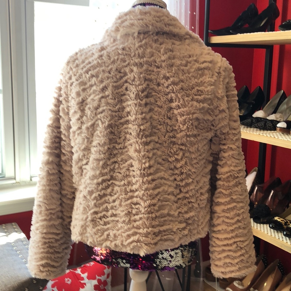 Jacket - Picture 2 of 5